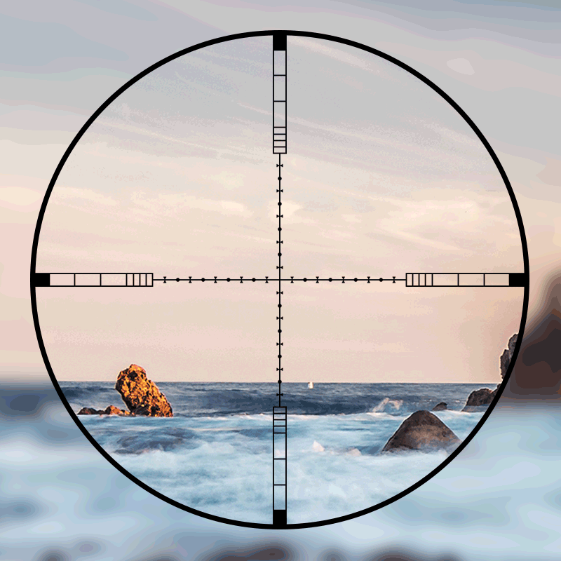 DIANA 4-16x44 Riflescope Takti - Outdoor Hunting Lab ulasan dan harga